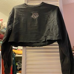 Pac Sun Long Sleeve Crop Top